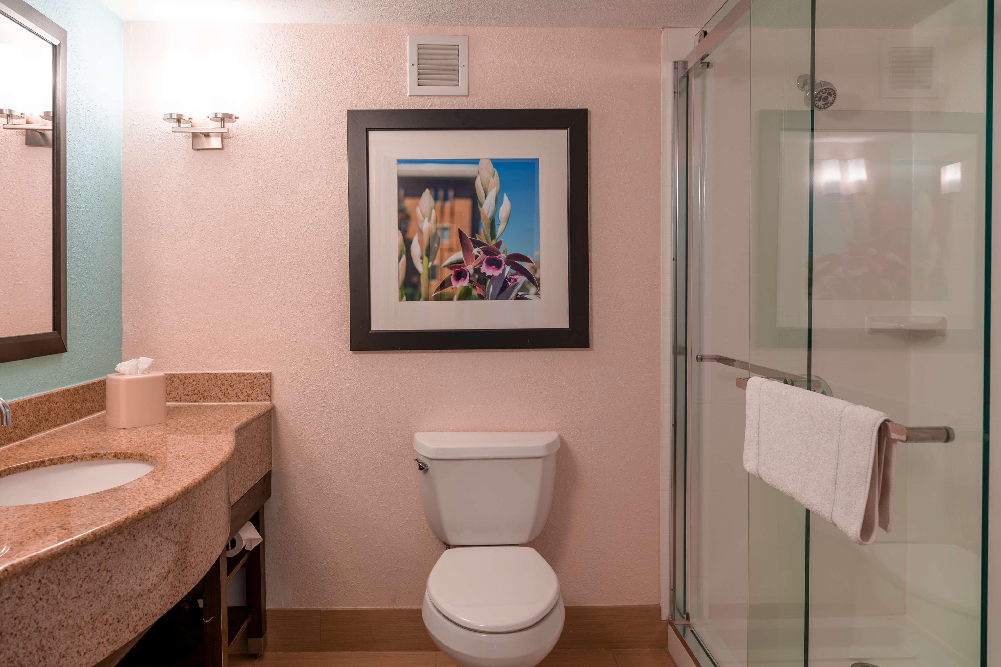 Hilton Garden Inn Orlando East - Ucf Area Alafaya Dış mekan fotoğraf